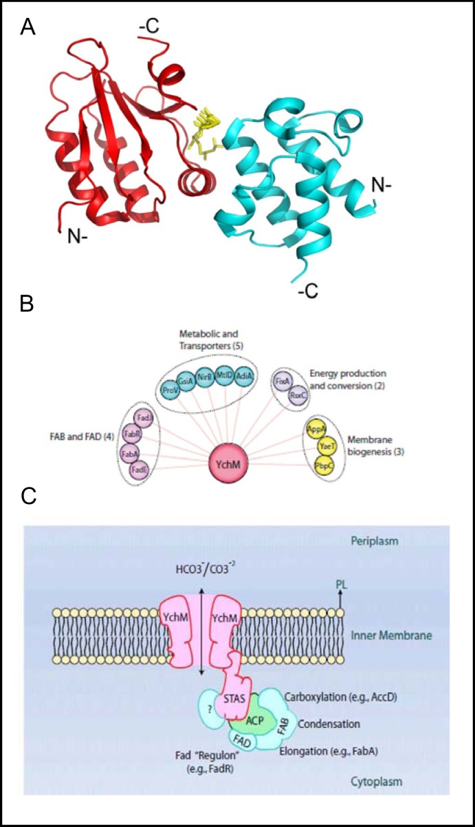 Fig. 6