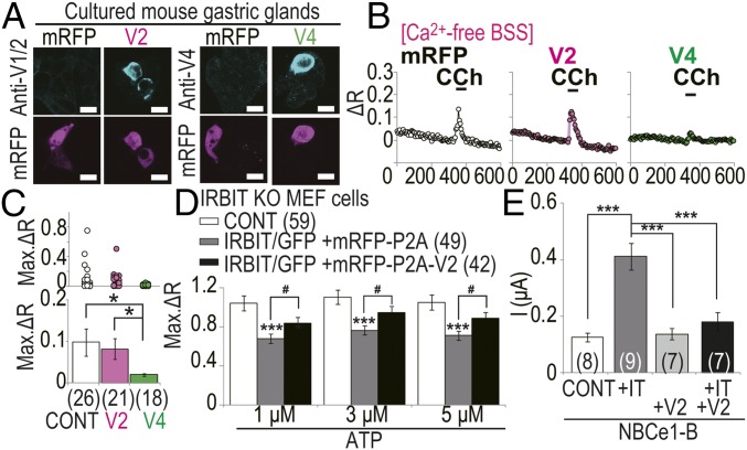 Fig. 7.