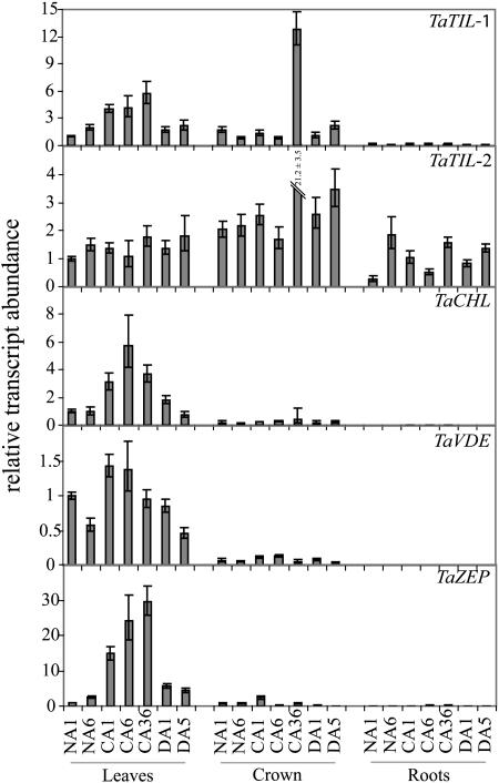 Figure 5.