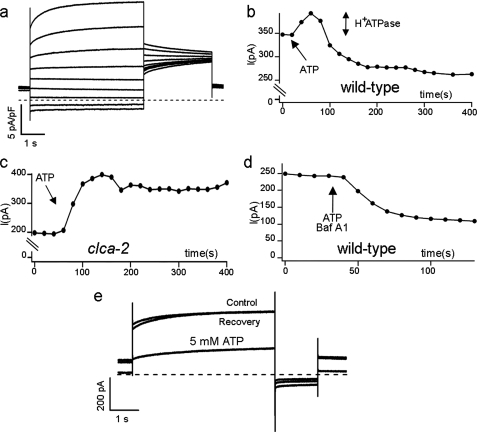 FIGURE 1.