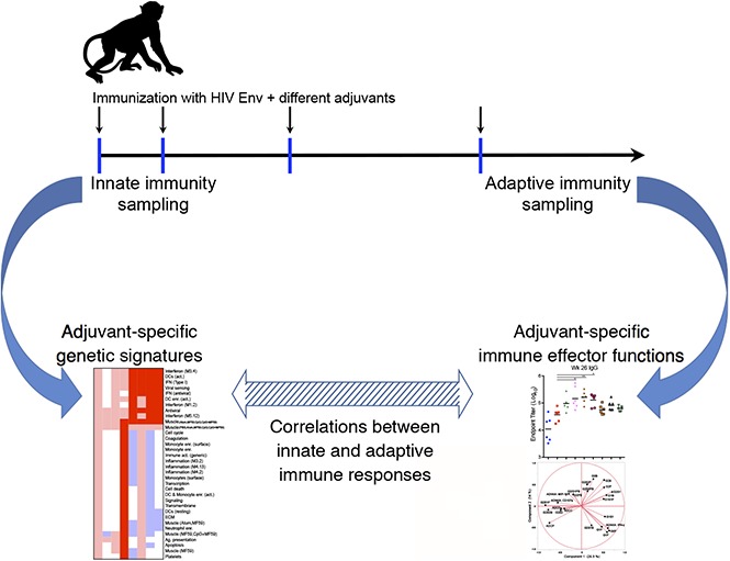 graphic file with name advances011411absf1.jpg