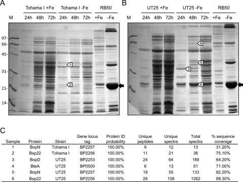 Fig. 8.