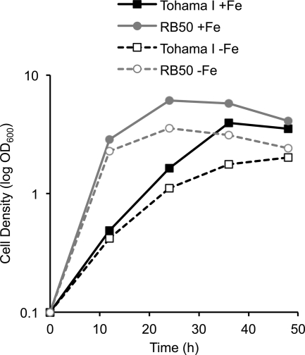 Fig. 1.