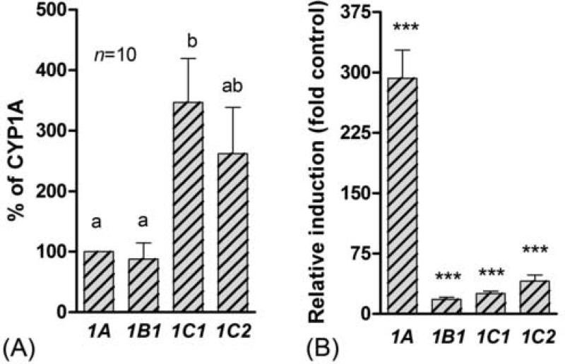 Fig 8