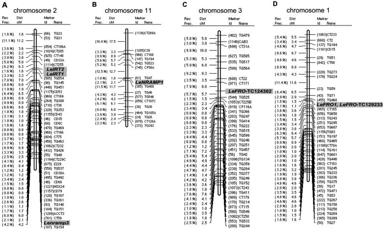 Figure 2.