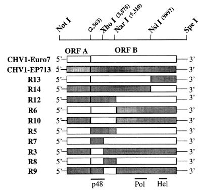 FIG. 1