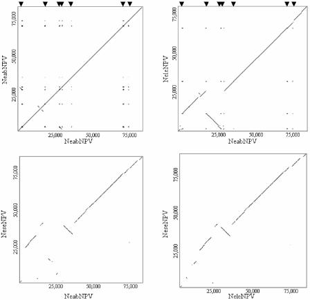 FIG. 3.