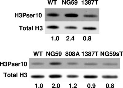 FIG. 5.