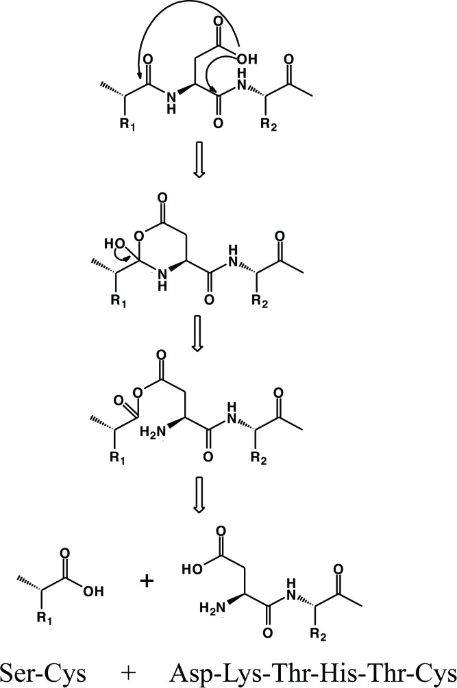 Scheme 1.