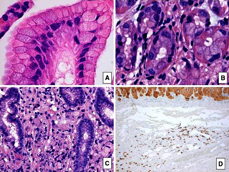 Fig. 1