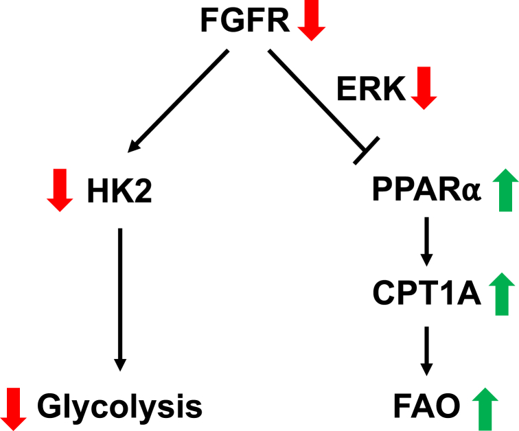 Figure 6