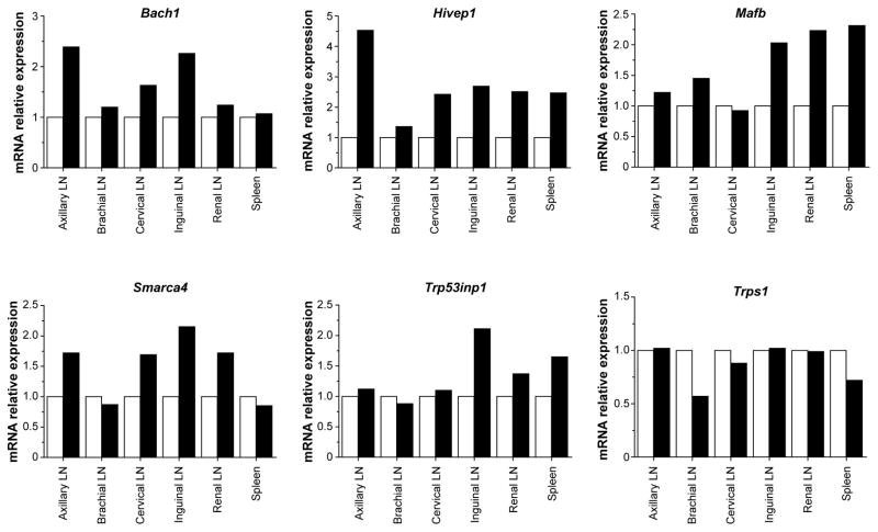 Extended Data Figure 9