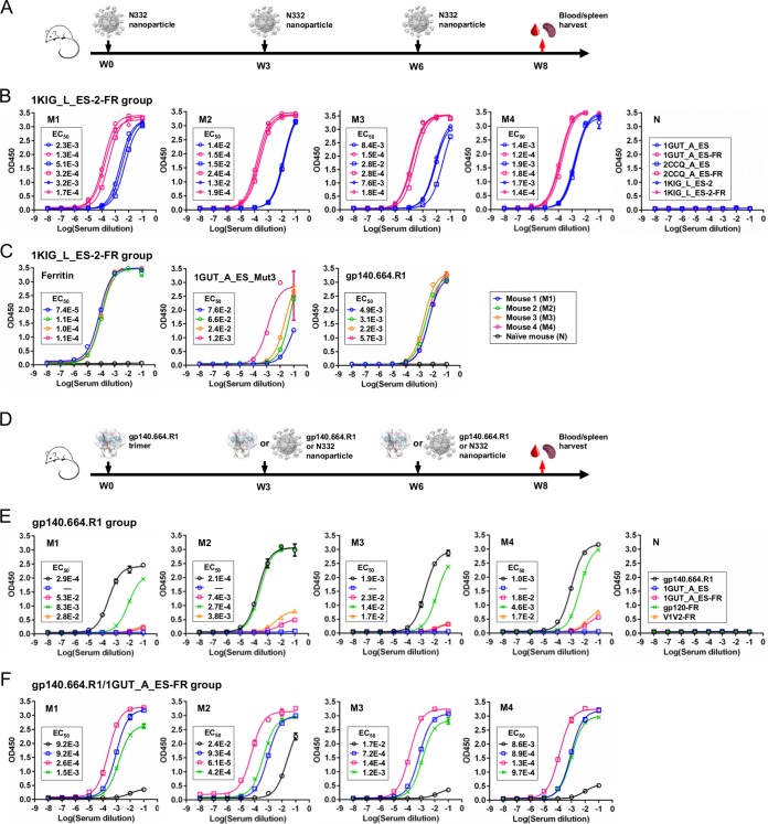 FIG 6 