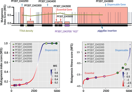 graphic file with name nihms-1004827-f0007.jpg