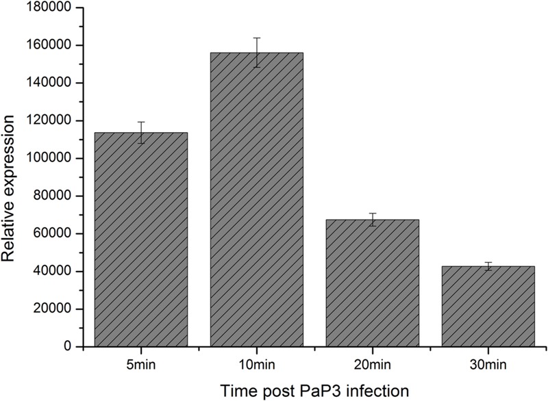 FIGURE 2