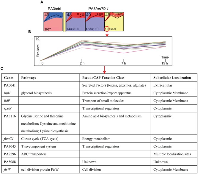 FIGURE 4