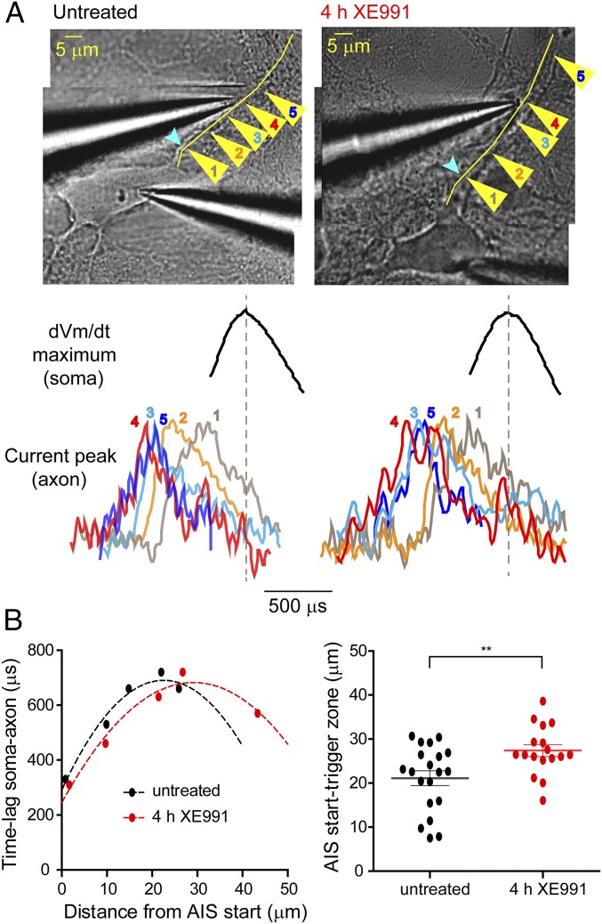 Fig. 4.