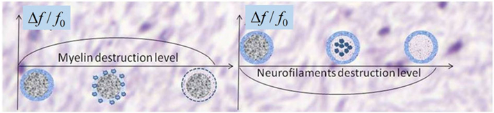 Figure 10.