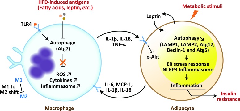 FIG. 6.