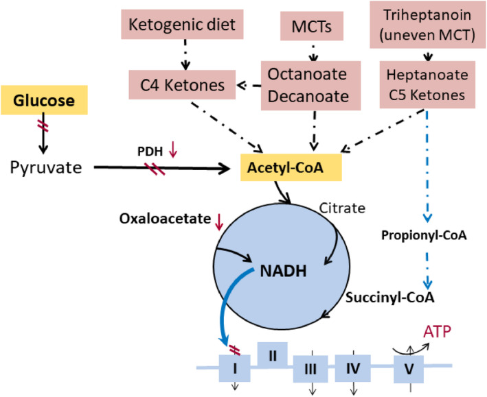 FIGURE 3