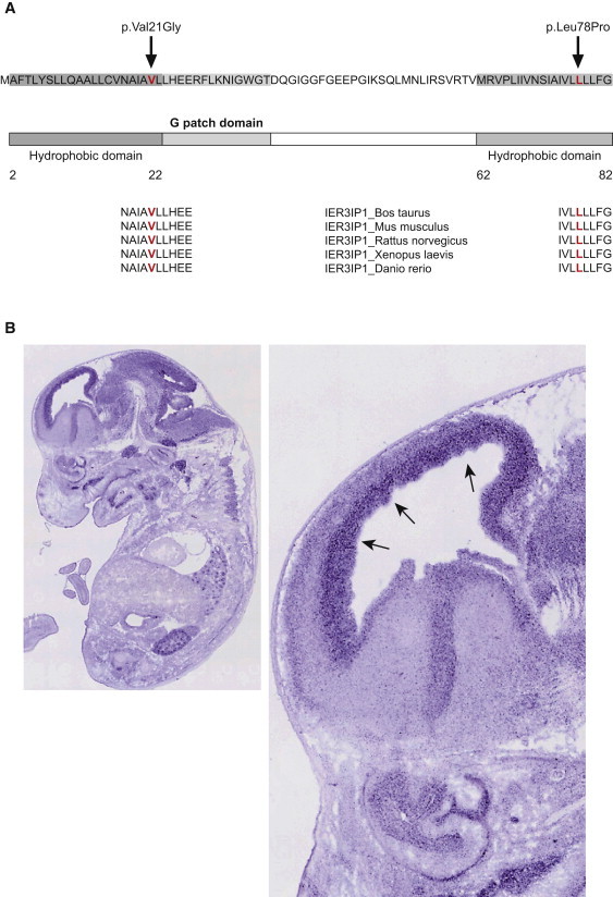 Figure 4