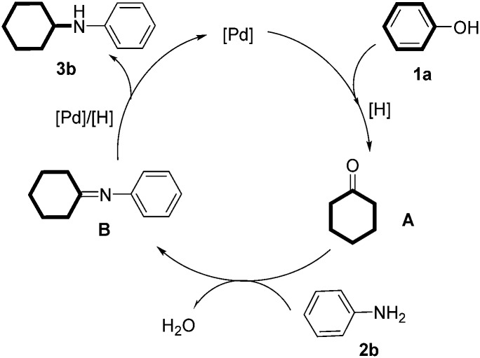 Scheme 3