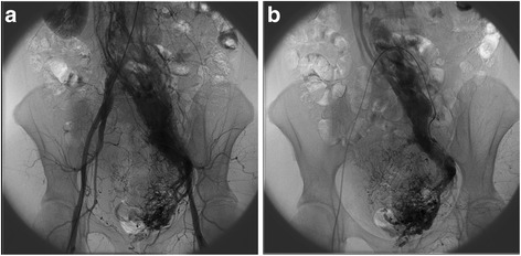 Fig. 4