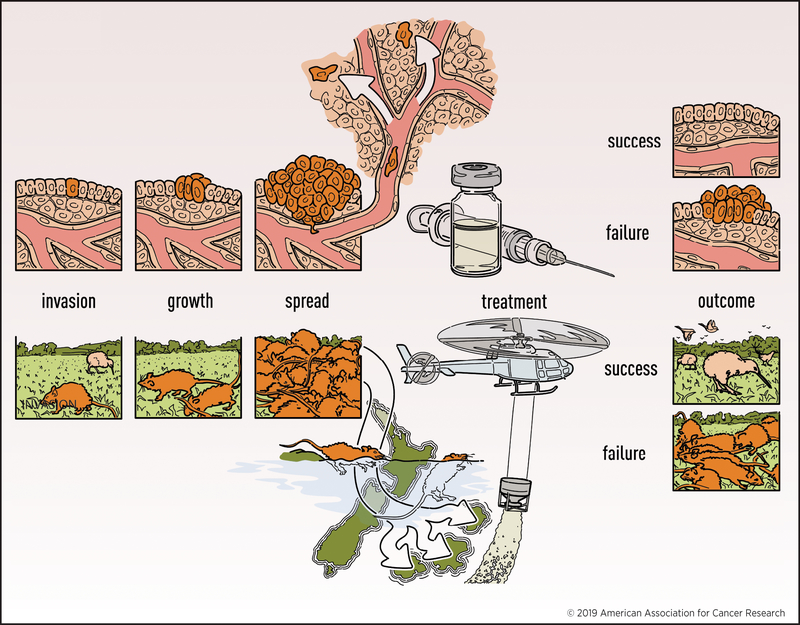 Fig 1.