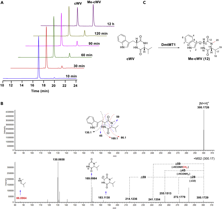 Figure 4