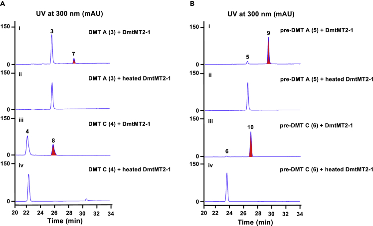 Figure 2