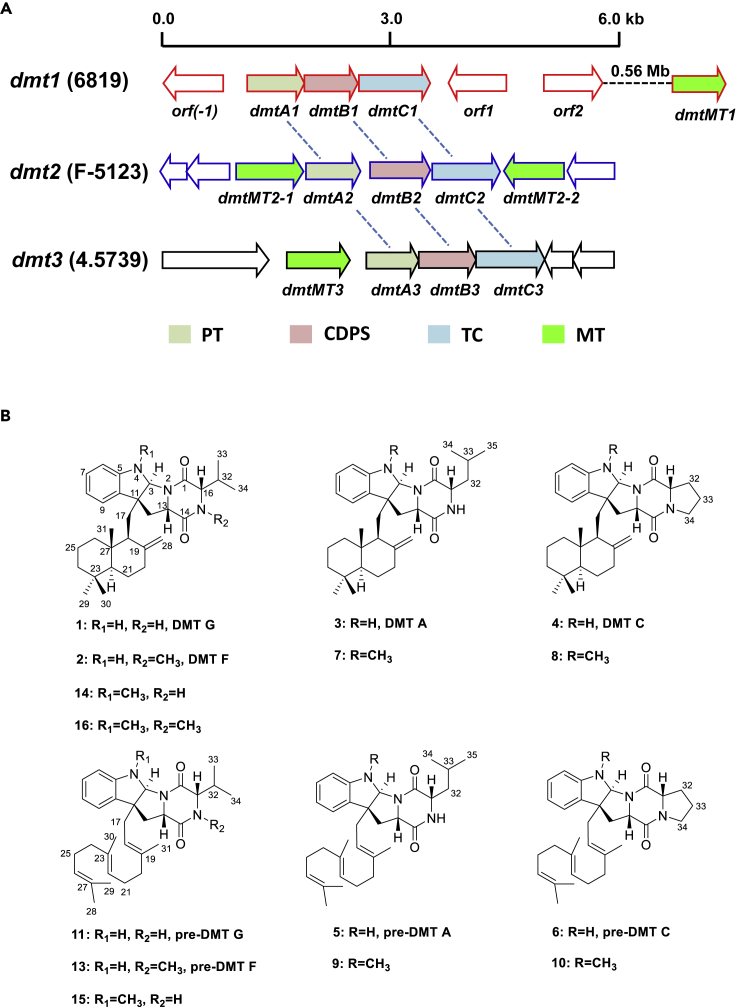 Figure 1