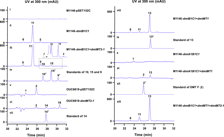 Figure 6