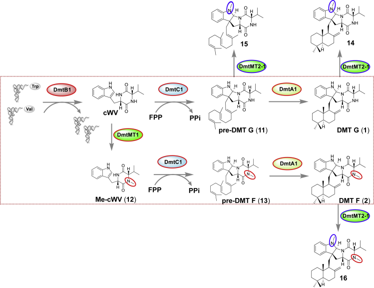 Figure 7