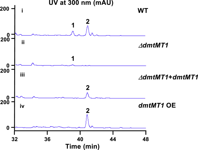 Figure 3