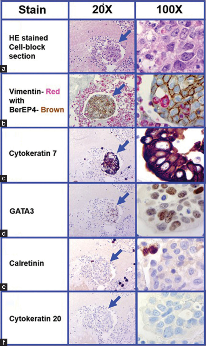 Figure 4: