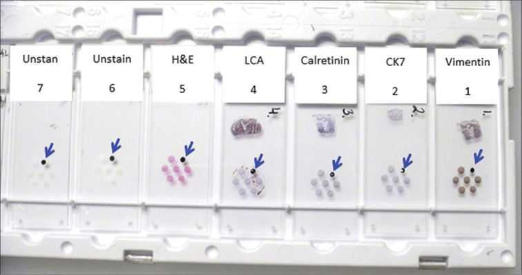 Figure 3: