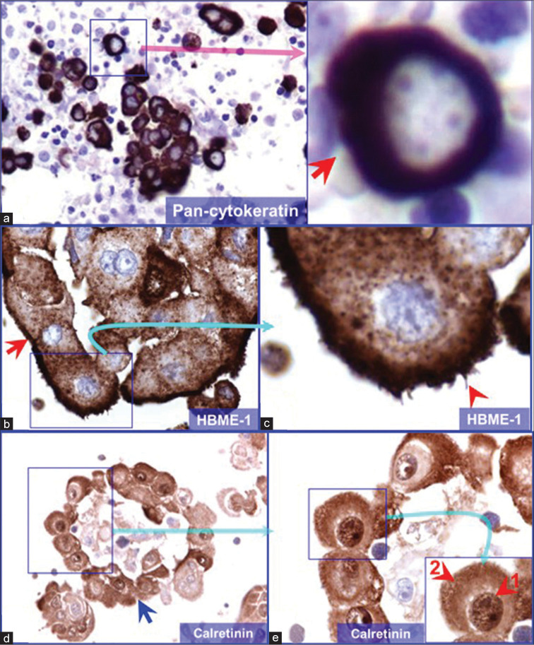 Figure 7: