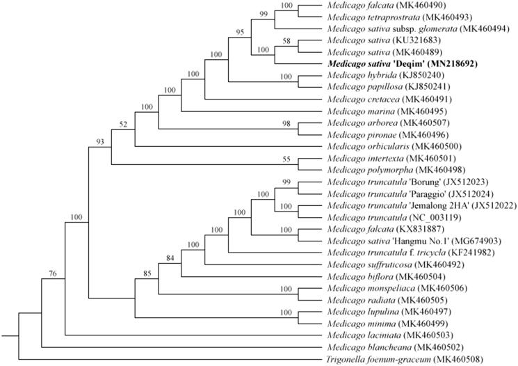 Figure 1.