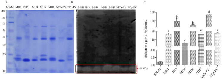 Figure 7