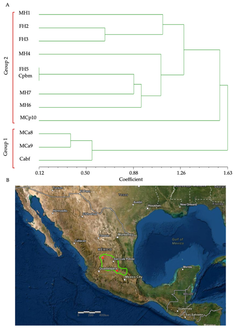 Figure 2