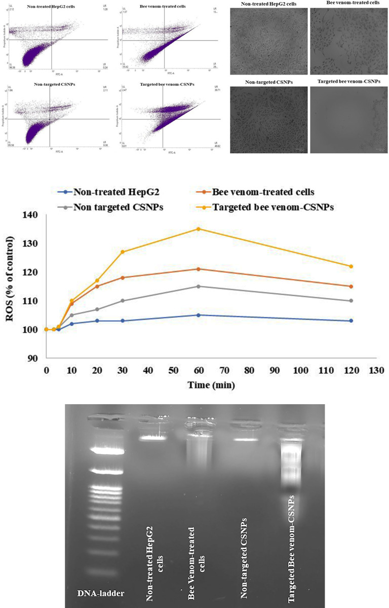 Fig 8