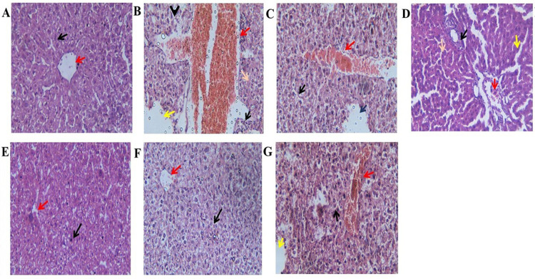 Fig 10