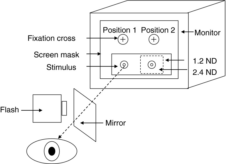 Fig. 1