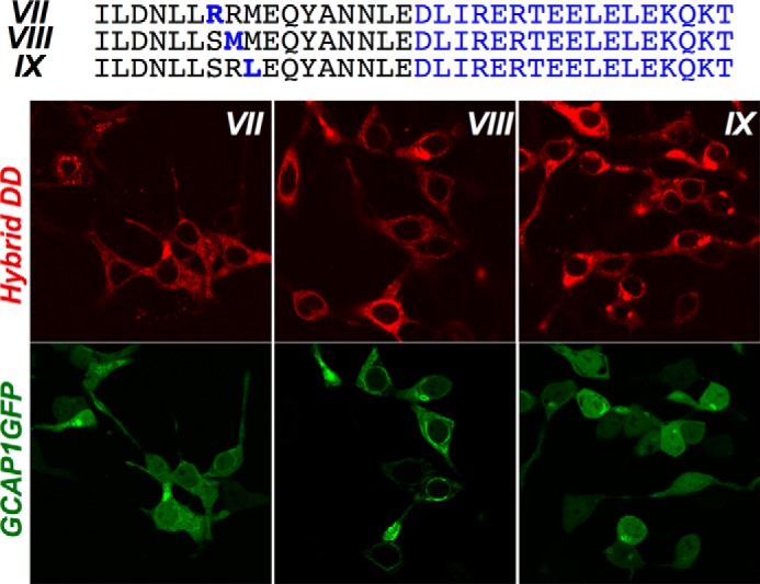 FIGURE 6.