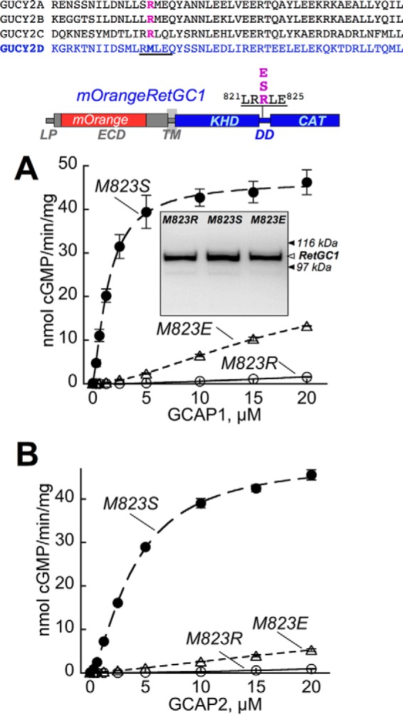 FIGURE 7.