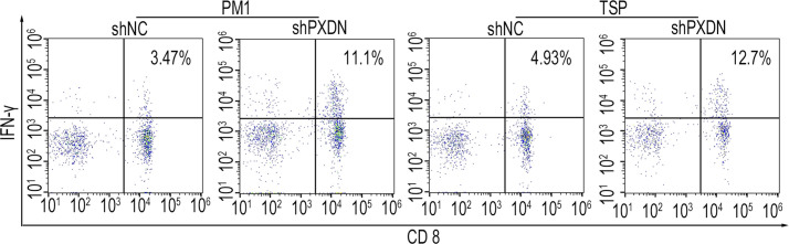 Figure 5—figure supplement 4.
