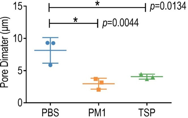 Figure 2—figure supplement 2.