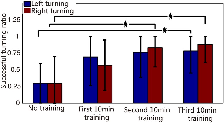 Fig 12