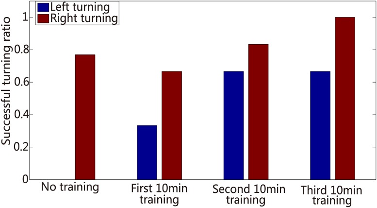 Fig 11