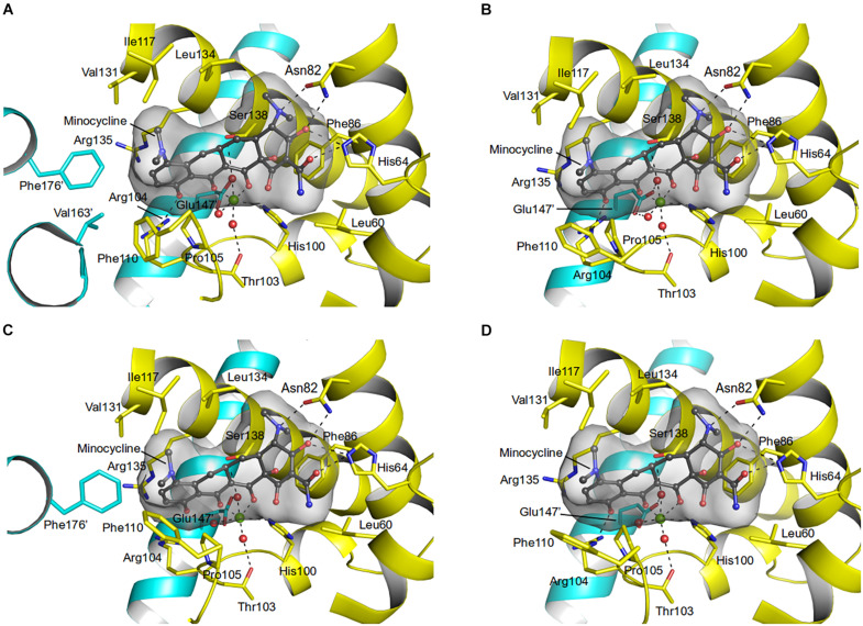 FIGURE 4